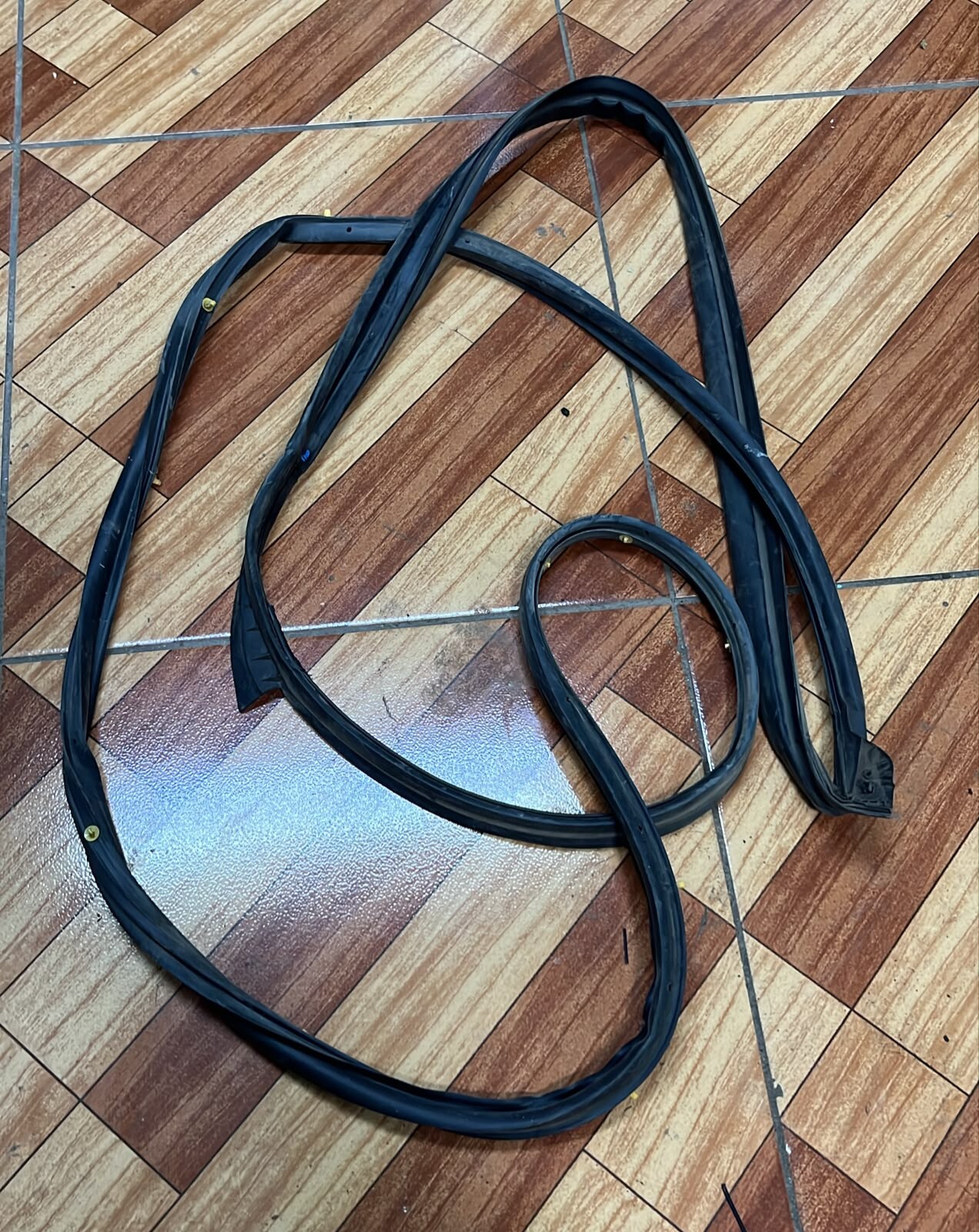 Goma contorno de puerta delantera derecha Nissan Qashqai 2019