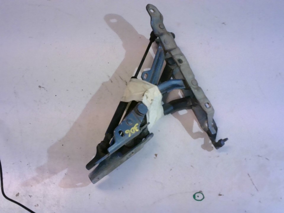 BISAGRAS TRASERA DE MALETA CON AMORTIGUADORES Peugeot 306 1996