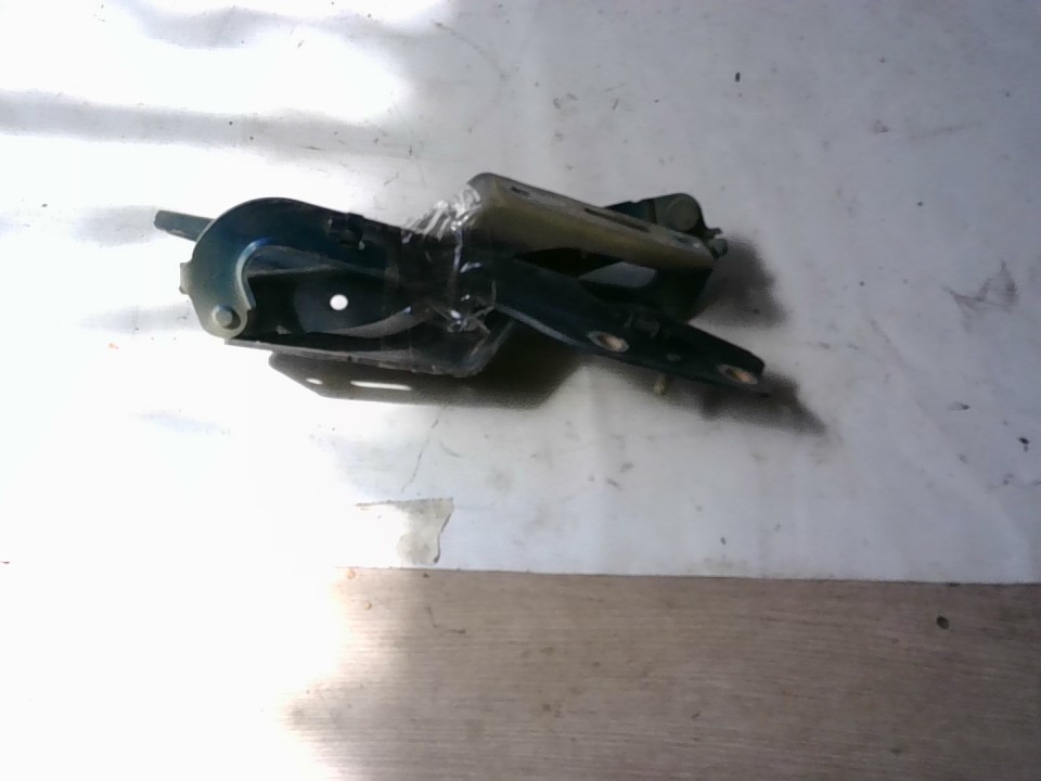 BISAGRAS CAPOT X2 Peugeot 307 2004
